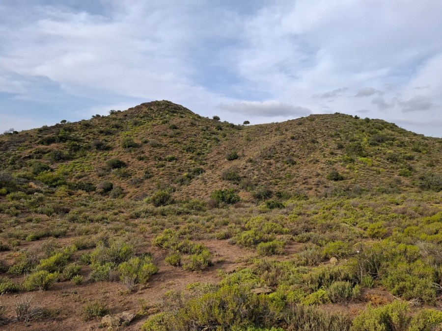  Bedroom Property for Sale in Van Wyksdorp Western Cape